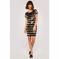 Apricot Gold & Black Sequin Stripe Shift Dress -Apricot Shop unnamed file 1097